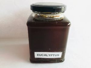 Eucalyptus Safeda Honey