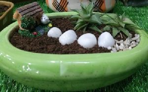 Ceramic Miniature Garden