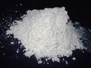 White Diatomaceous Earth Powder