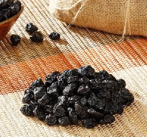 Dried Blueberry Seed