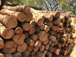 Kumul Wood Logs