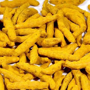 turmeric finger