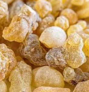 Boswellia Extract