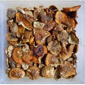 Amanita Dried Mushroom