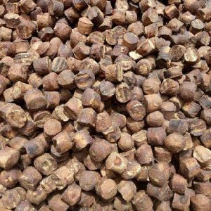 Natural Gambier, Packaging Type : Brown, Form : Extract