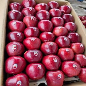 kashmiri apple - Get Latest Price & Mandi rates from Dealers & Traders ...