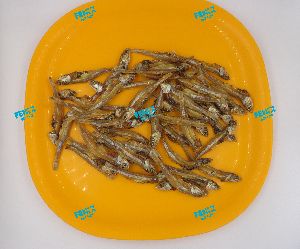 All types of dried fish
