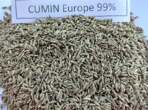 cumin seed