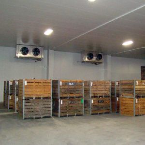 Cold Storage Refrigerated Warehouse