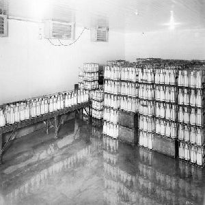 Milk Cold Storage Room