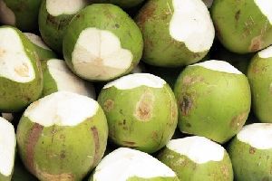 tender coconut