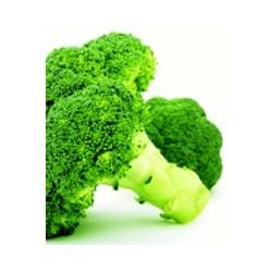 Organic Broccoli Seed Oil