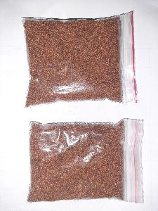 Ragi/Finger Millet Seeds