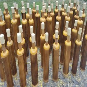 bamboo bottle