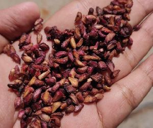 Dry Pomegranate seed best quality