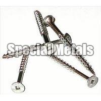 Stainless Steel Screw