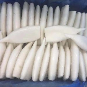 U10 Todarodes Pacificus Squid Tube Price From Canada Factory