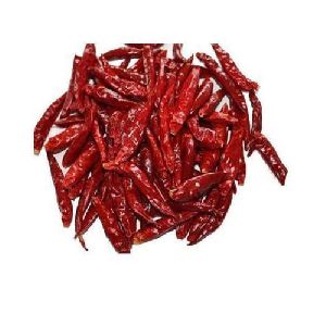 Sannam 273 Red Chilli