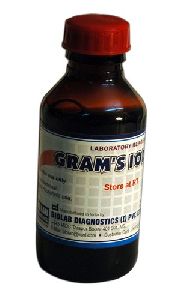 Gram Stain Kit