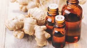 Ayurvedic Pharma Industry Ginger Oil