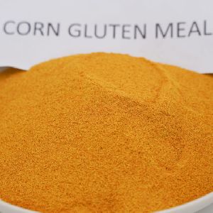 Corn Gluten Meal  For Animals Feeds