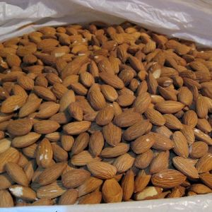 Organic Cultivation Type Sweet Almonds