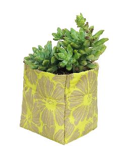 3×3 Inch Yellow Poppy Pot Cover