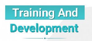 training & development