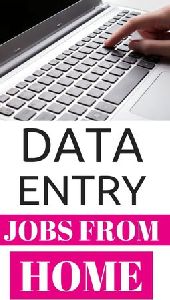 secured data entry bpo project service