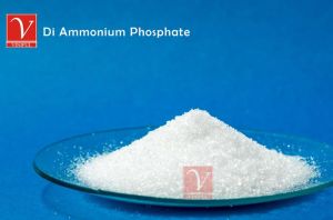 Diammonium Phosphate