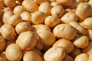 Chandramukhi Potato
