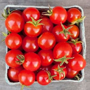 Fresh Cherry Tomato