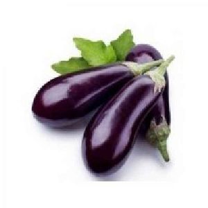 Fresh Eggplant