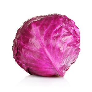 Fresh Purple Cabbage