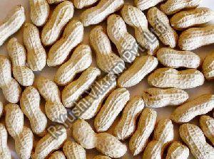 Shelled Groundnut