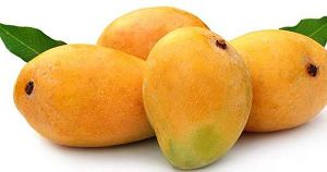 Ratnagiri Mango