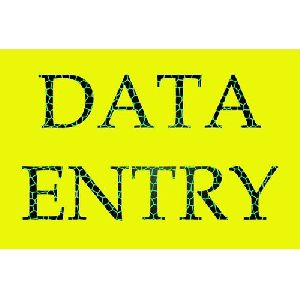 Data Entry International BPO Service, India