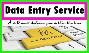 Data Entry Services With Excellent Payout And Good Returns.