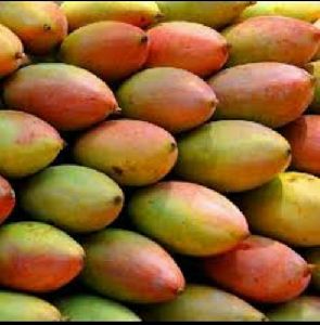 Collector Mango