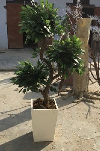 Artificial 3 in 1 Ficus Tree