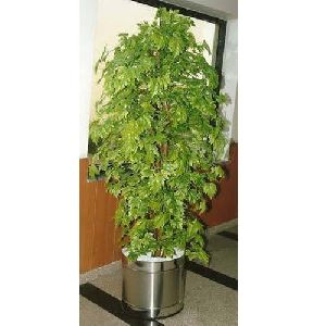Green Maple Artificial Trees