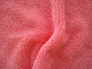 Coral Fleece Fabrics