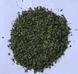 Dried Fenugreek Leaves Tea Cut Size