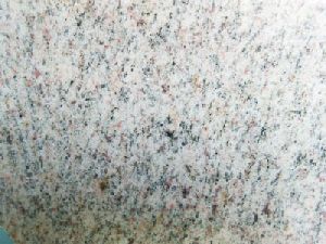 Fish Eye Granite Slab