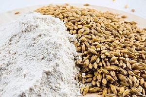 Barley Seed Grains
