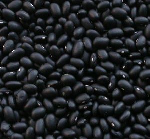 Black Beans, Black Kidney Beans