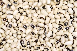 Black Eyed Beans, Pea