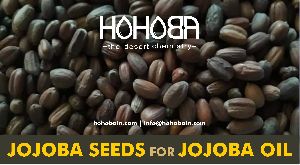 Organic Jojoba oil - 100% pure jojoba oil online in india - Cosmetic Oil manufacturer