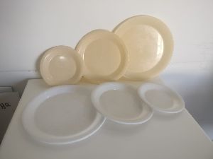 Plastic food plate