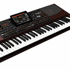 wholesales-Korg PA1000 61 Key Professional-Arranger Keyboard 61 Key Digital Piano